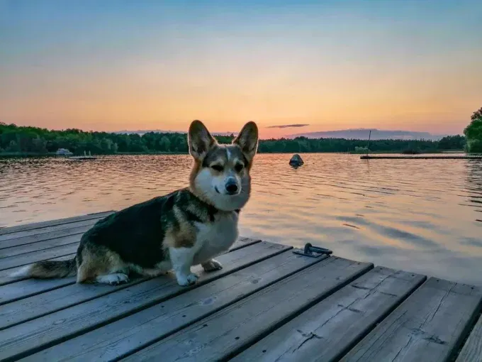 Ferienhäuser in Schweden